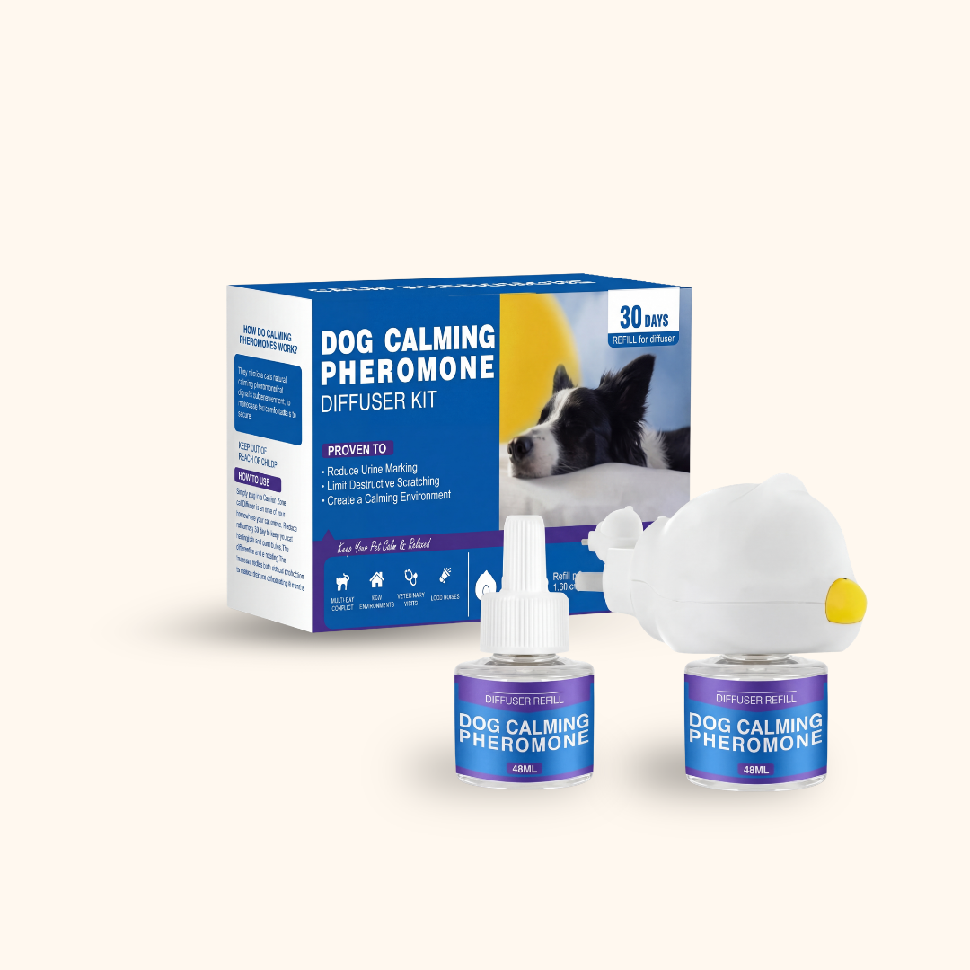 Pheji's Calm Diffuser