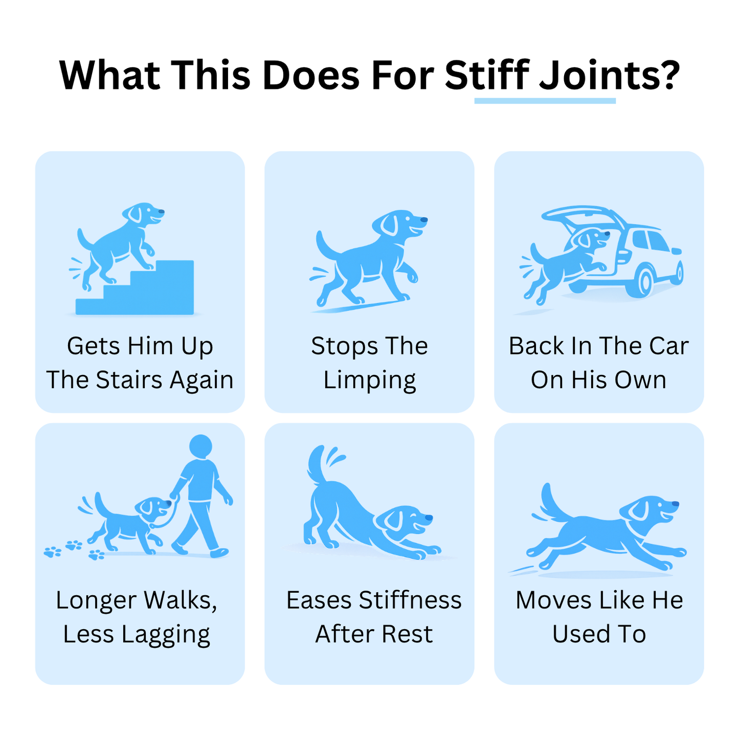 Pheji Complete Joint Collagen