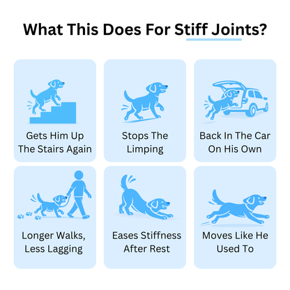 Pheji Complete Joint Collagen