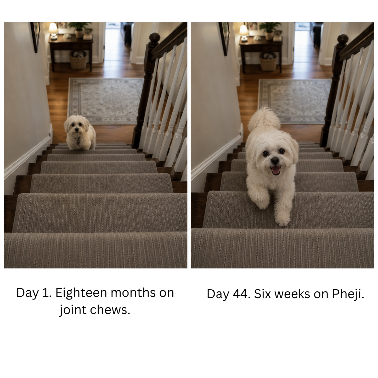 Pheji Complete Joint Collagen