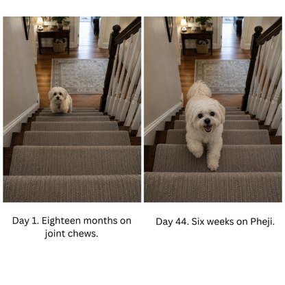 Pheji Complete Joint Collagen
