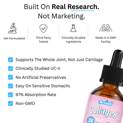 Pheji Complete Joint Collagen