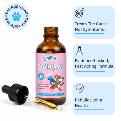 Pheji Complete Joint Collagen