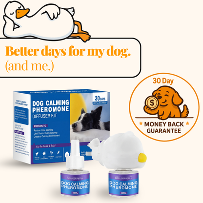 Pheji's Calm Diffuser