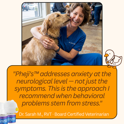 Pheji's Calm Diffuser