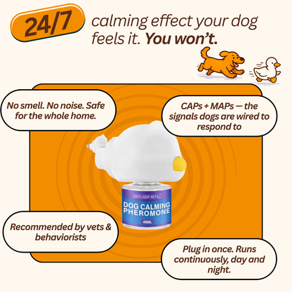 Pheji's Calm Diffuser