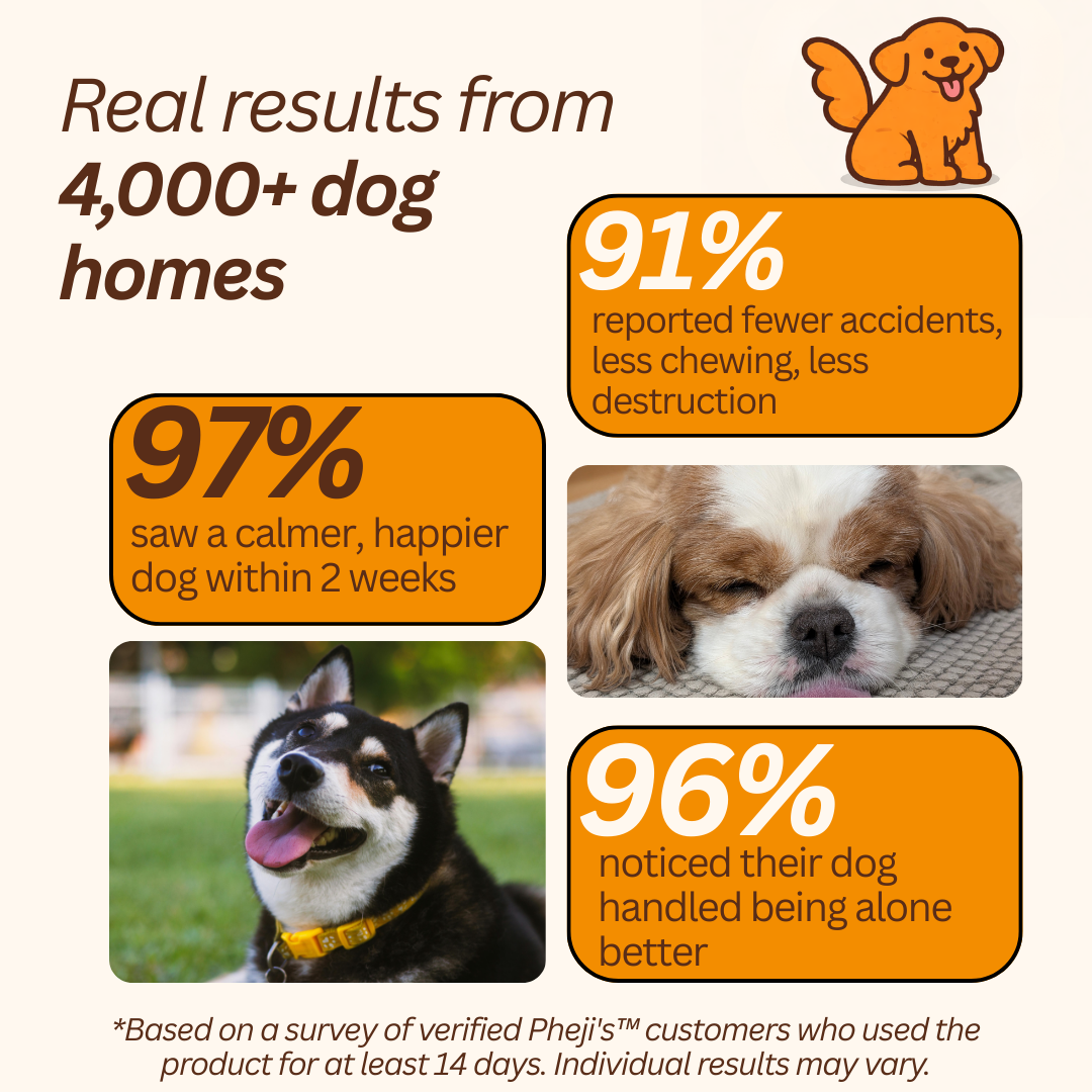 Pheji's Calm Diffuser