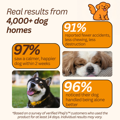 Pheji's Calm Diffuser